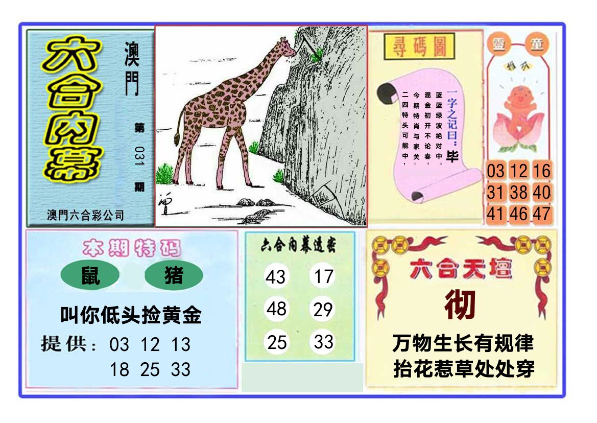六合内幕 第31期