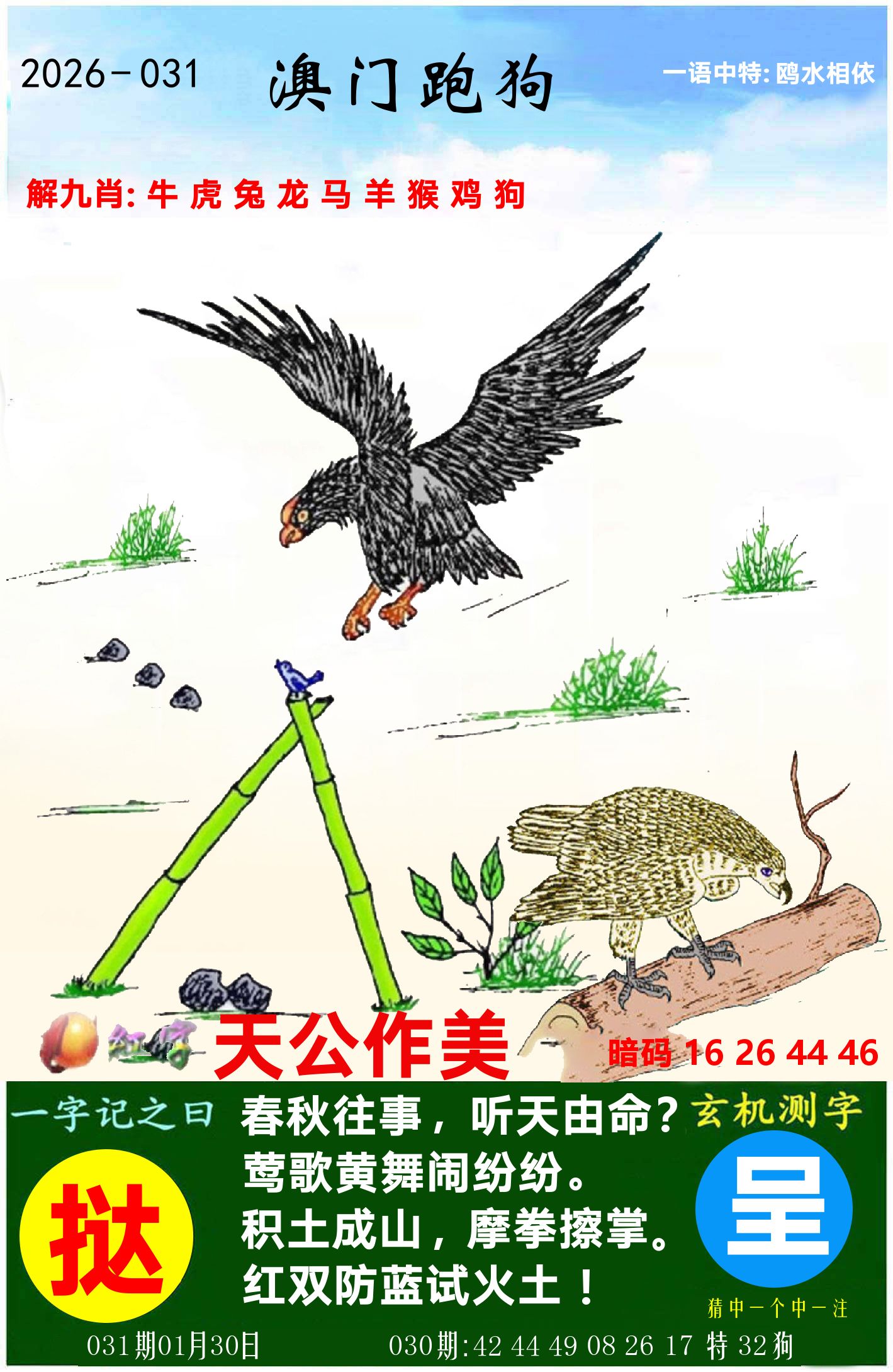 澳门跑狗图 第31期