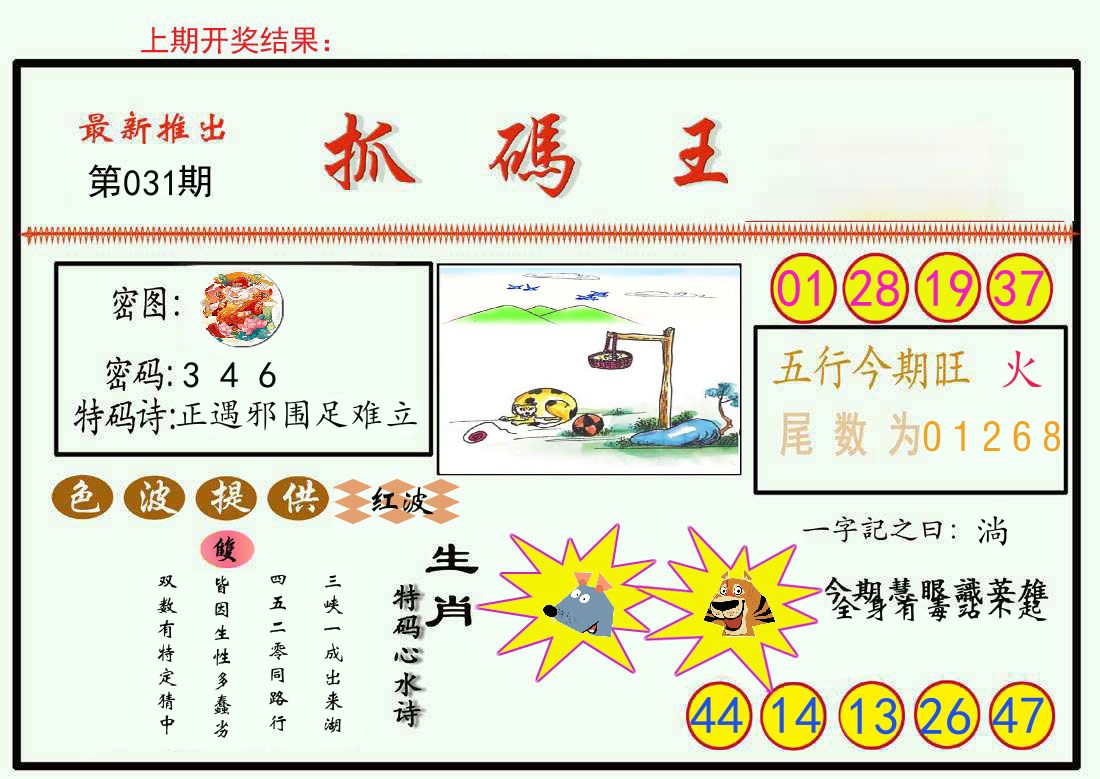 最新抓码王 第31期