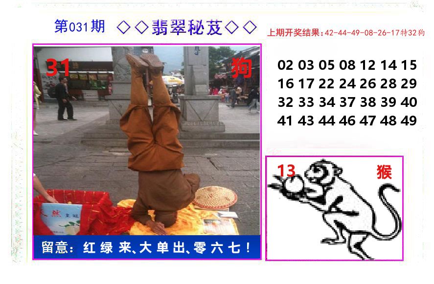 翡翠秘芨 第31期