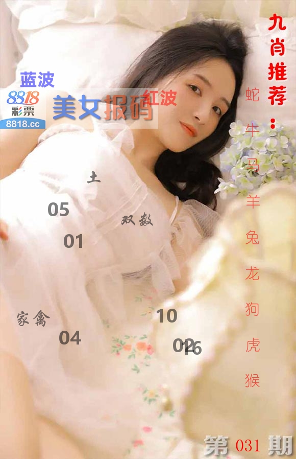 美女报码 第31期