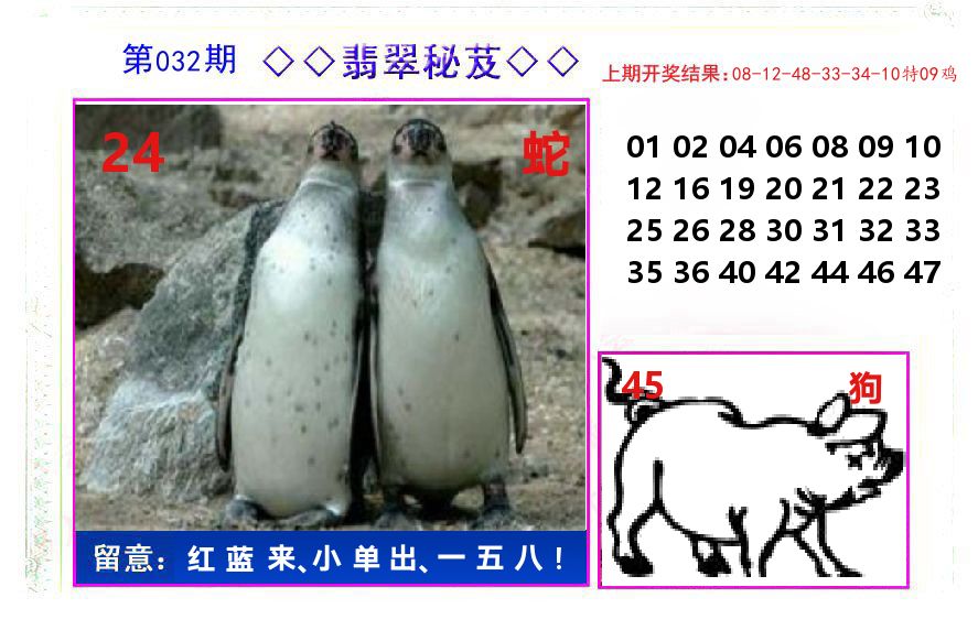 翡翠秘芨 第32期