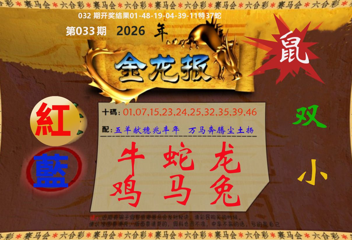 金龙报 第33期