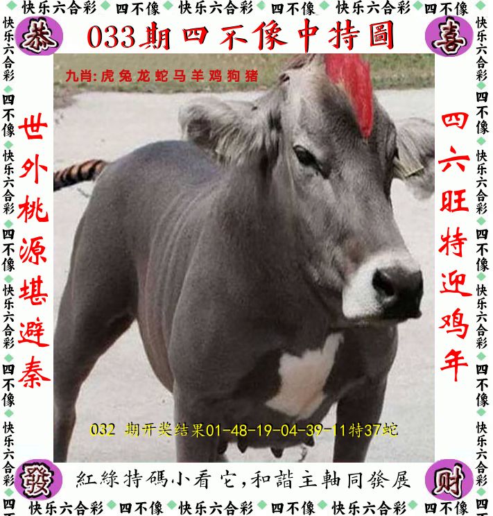 四不像 第33期