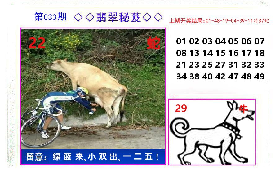 翡翠秘芨 第33期