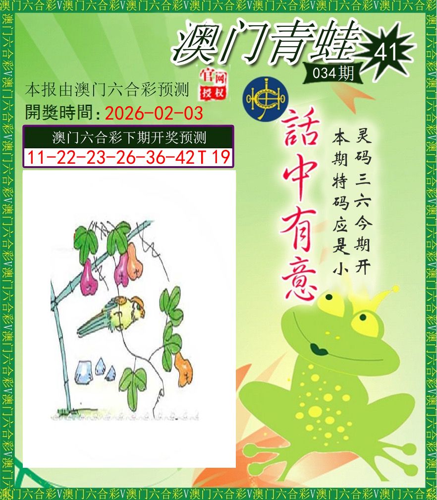 青蛙系列43 第34期