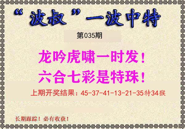 波叔中特 第35期