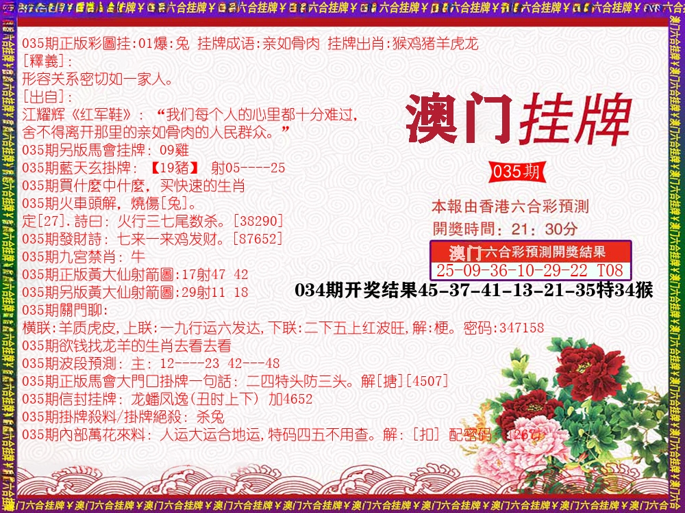澳门挂牌 第35期