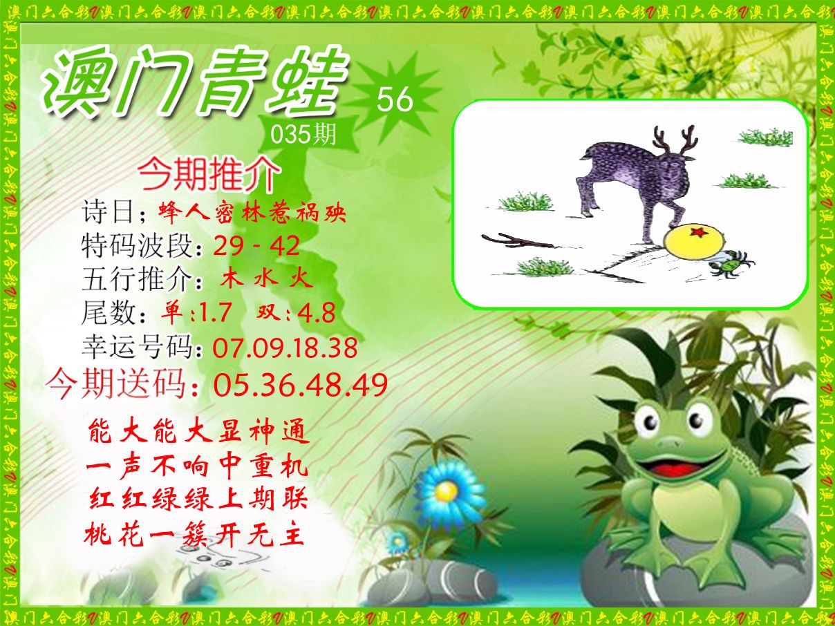 青蛙系列56 第35期