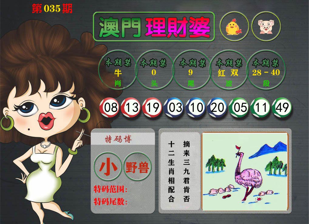 理财婆 第35期