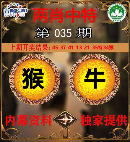 两肖中特 第35期
