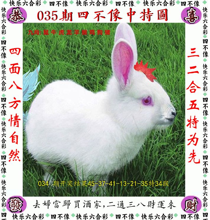 四不像 第35期