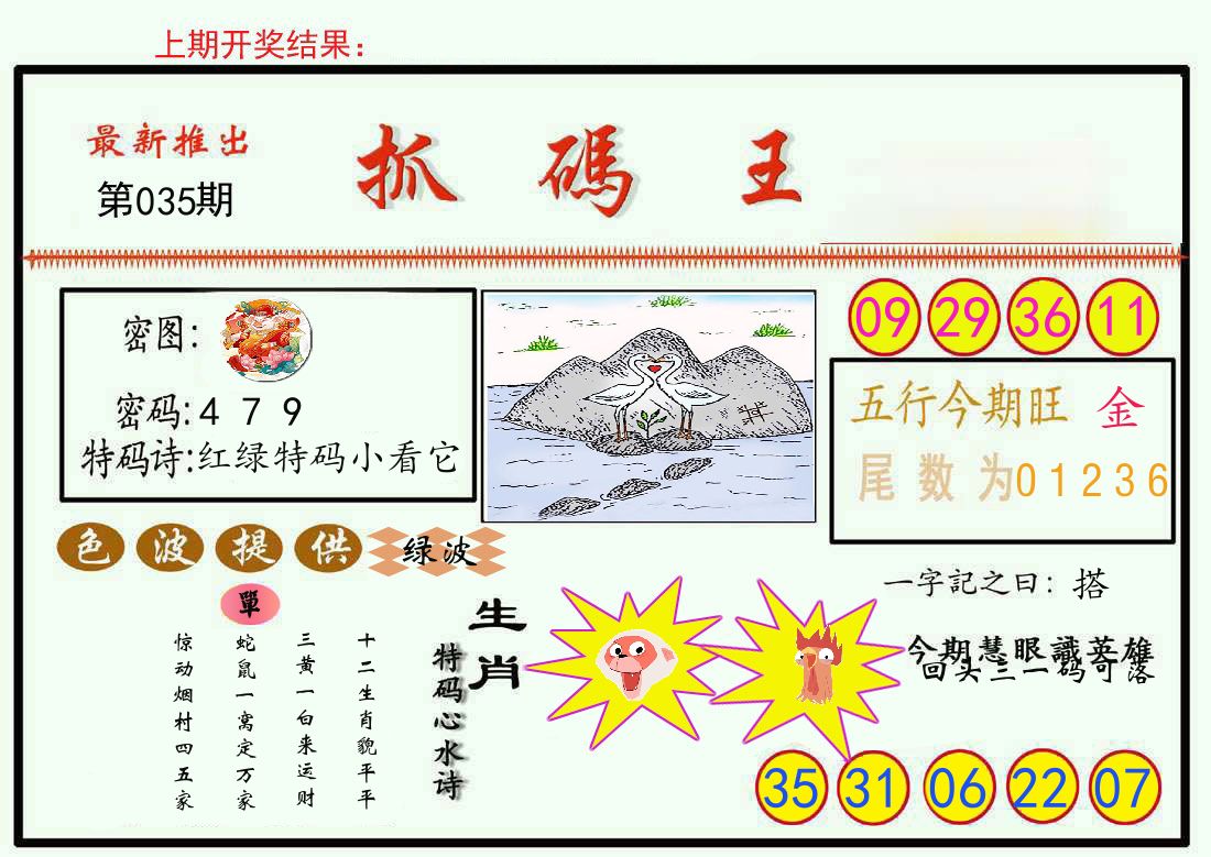 最新抓码王 第35期