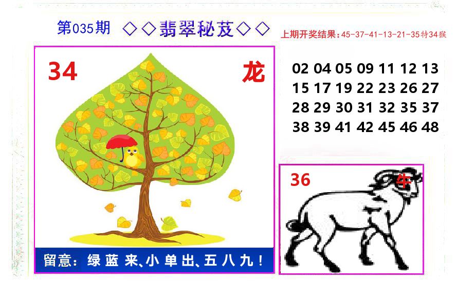 翡翠秘芨 第35期