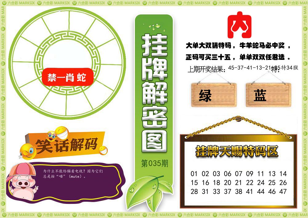 澳门挂牌解密 第35期