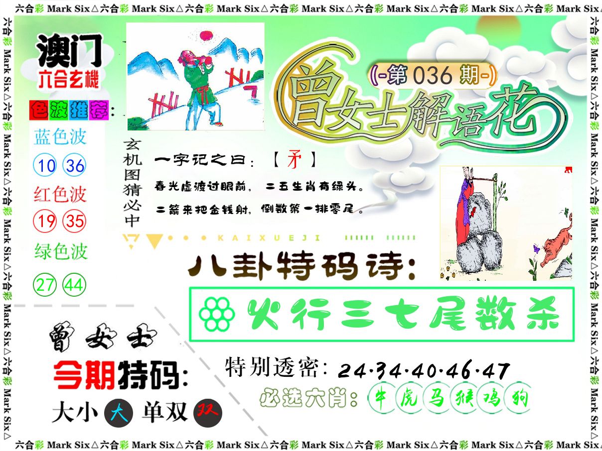 曾女士解语花 第36期