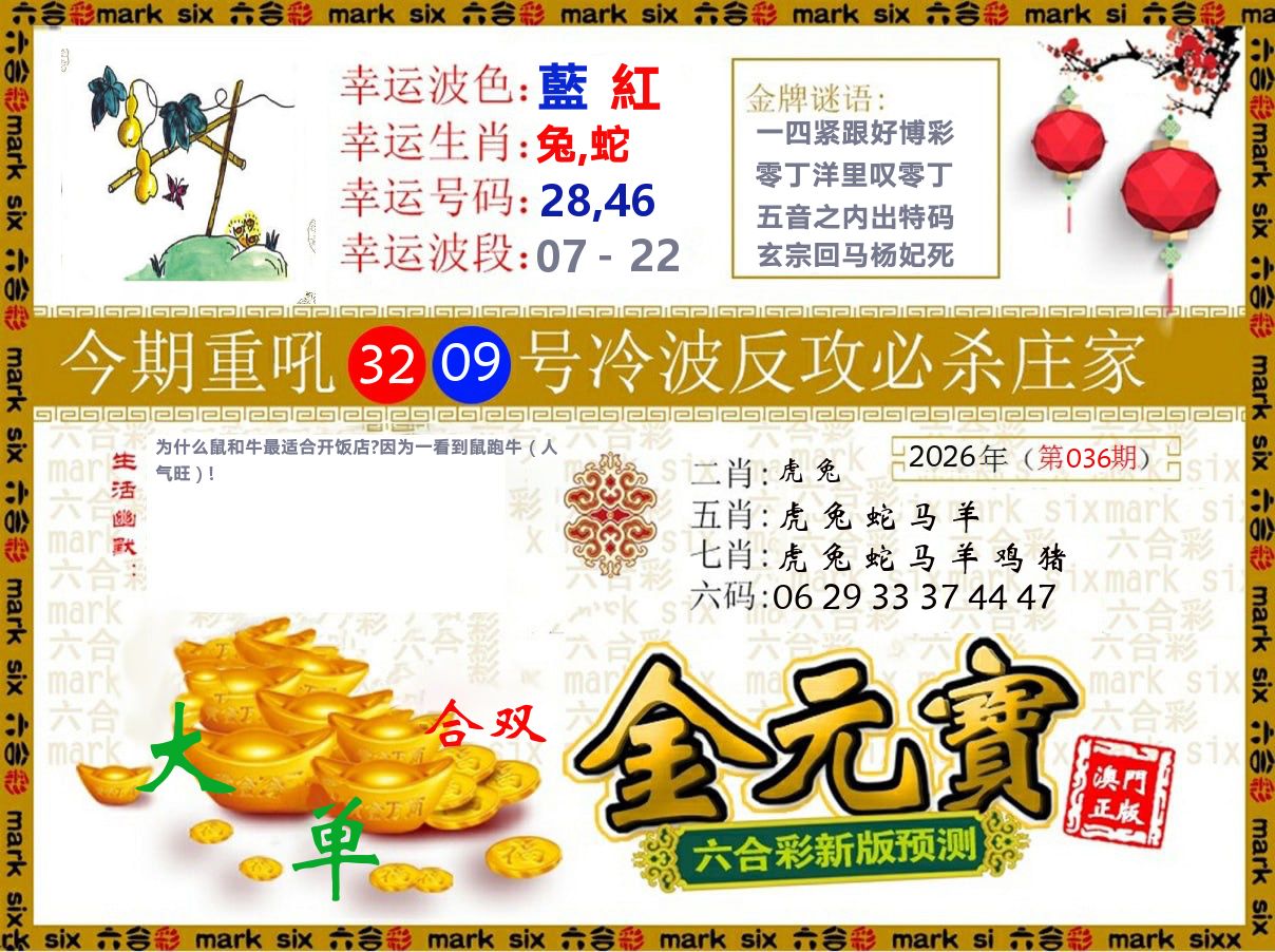金元宝 第36期
