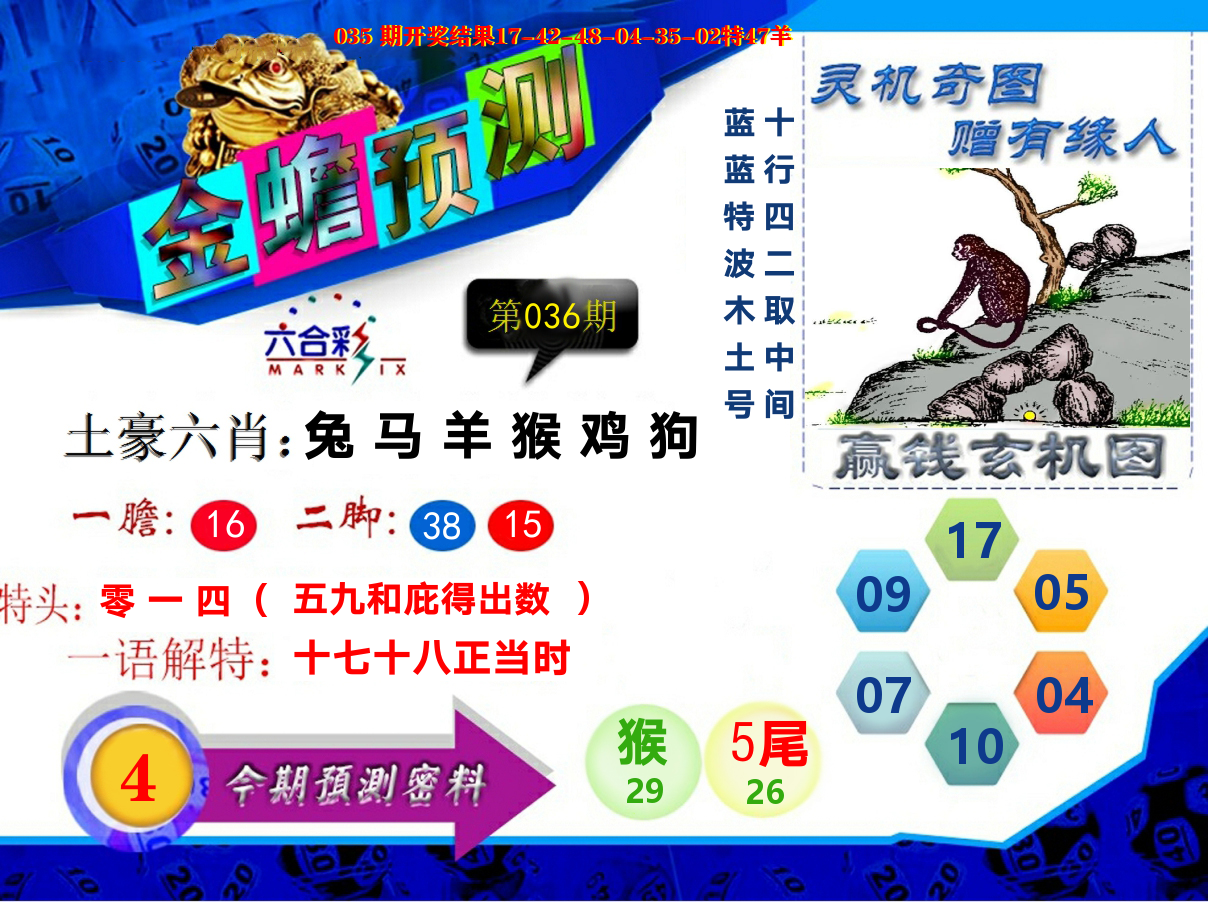 金蟾预测 第36期
