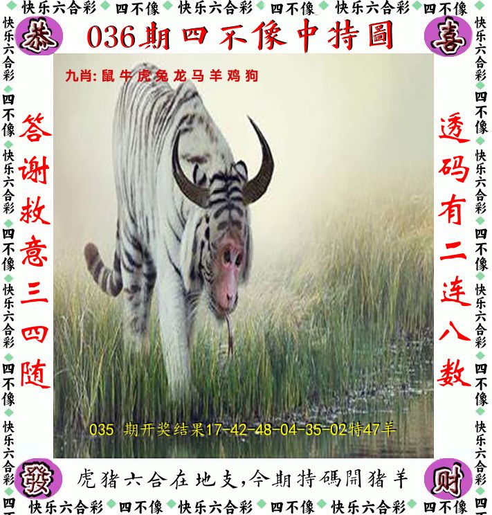 四不像 第36期