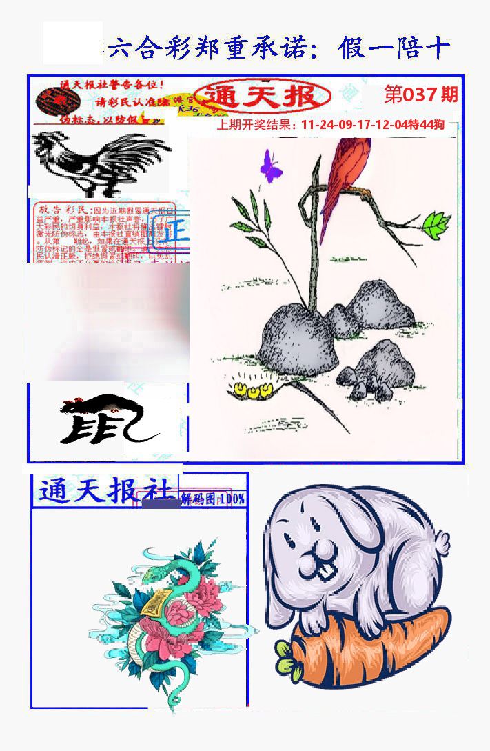 通天报 第37期