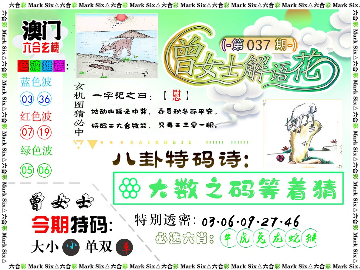 曾女士解语花 第37期