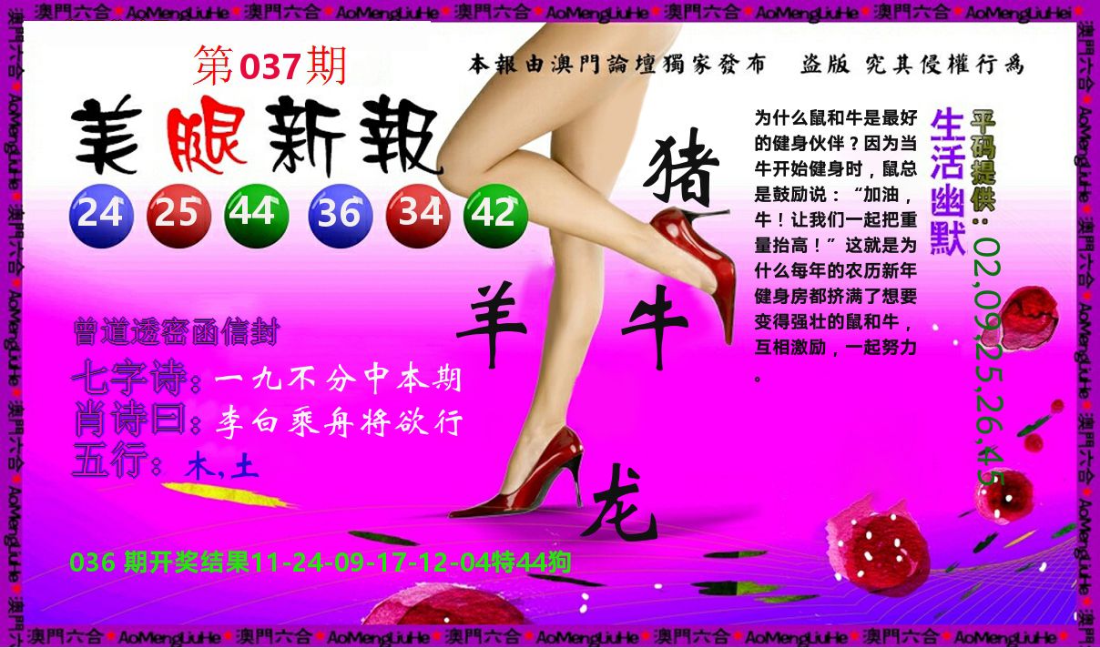 美腿新报 第37期