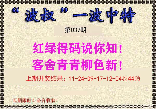 波叔中特 第37期