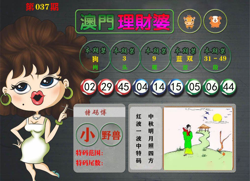 理财婆 第37期
