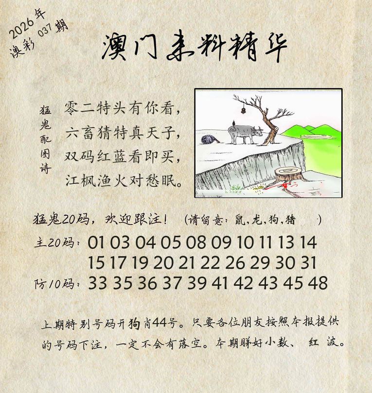 精华来料 第37期