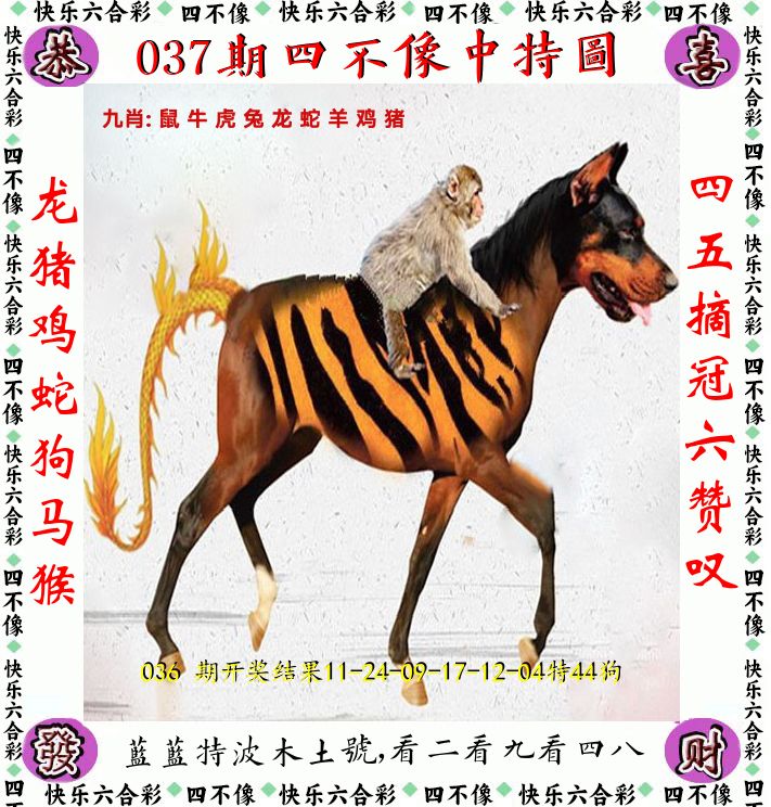 四不像 第37期