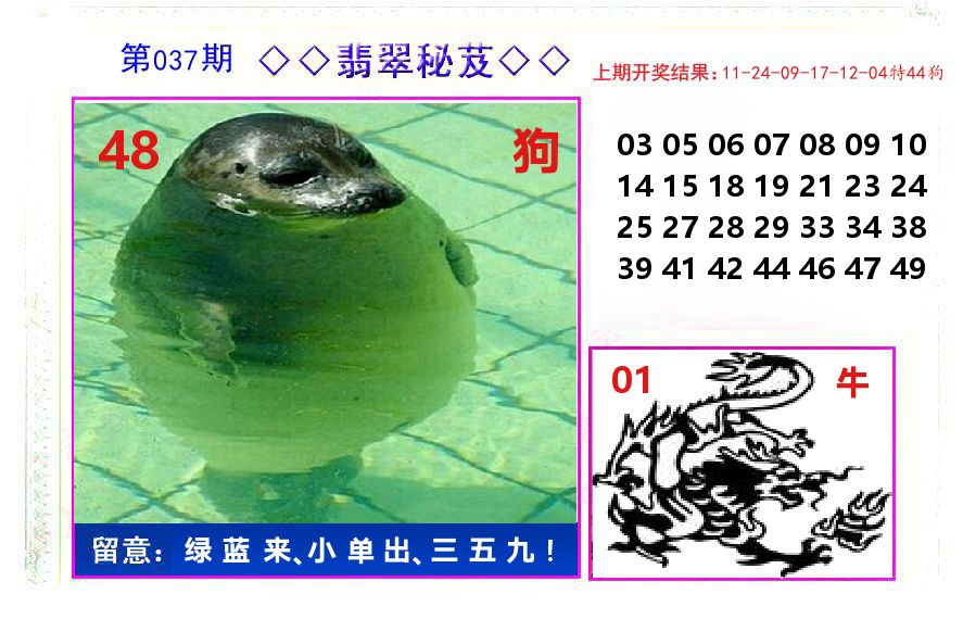 翡翠秘芨 第37期