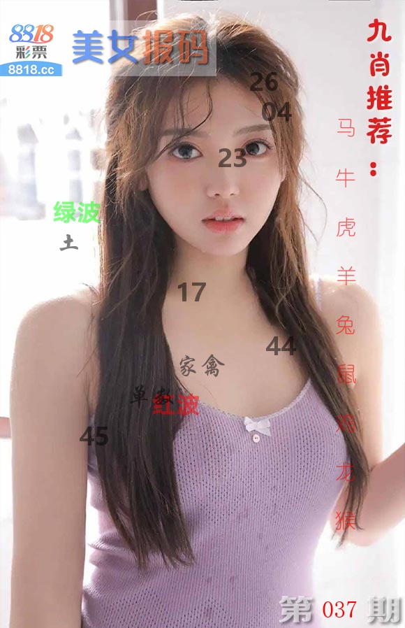 美女报码 第37期