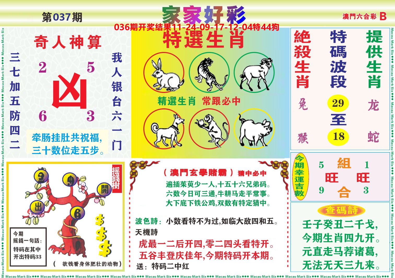 家家好彩B 第37期