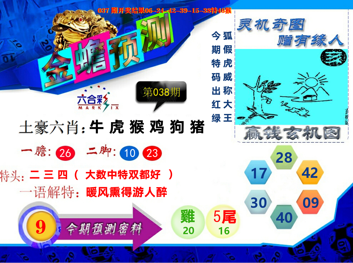 金蟾预测 第38期