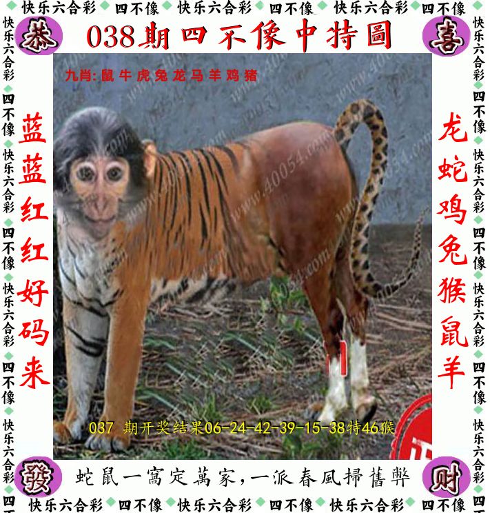 四不像 第38期