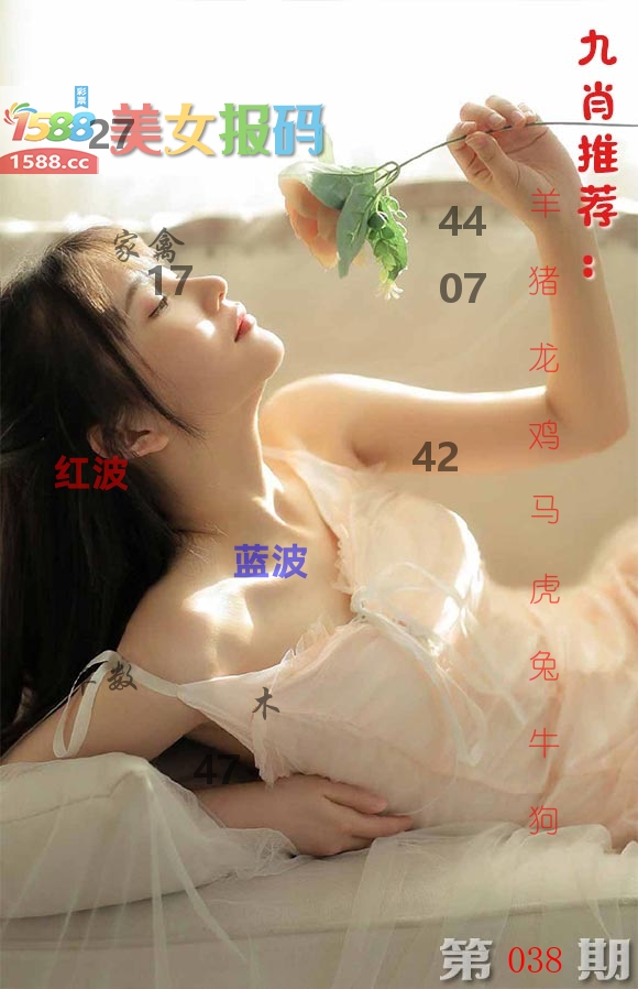美女报码 第38期