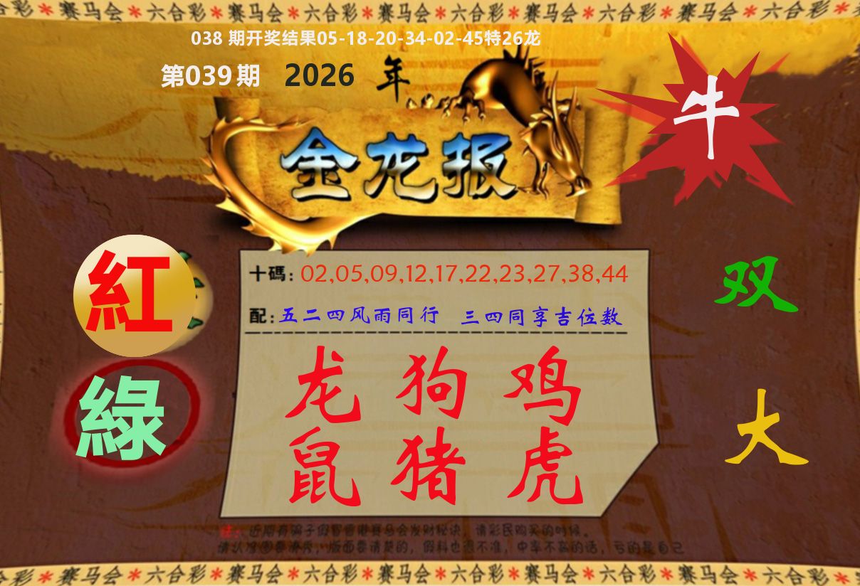 金龙报 第39期