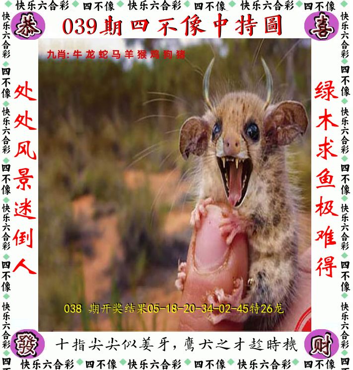 四不像 第39期
