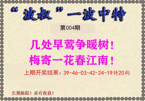 波叔中特 第4期