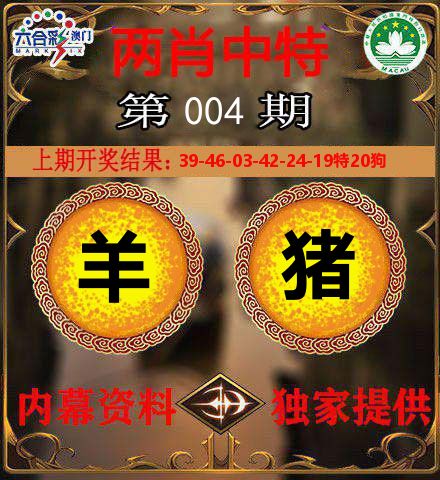 两肖中特 第4期