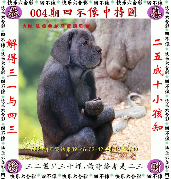 四不像 第4期
