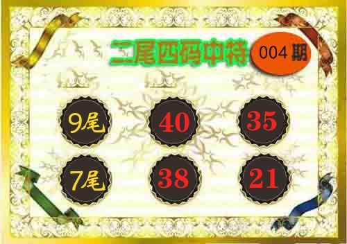 二尾四码中特 第4期
