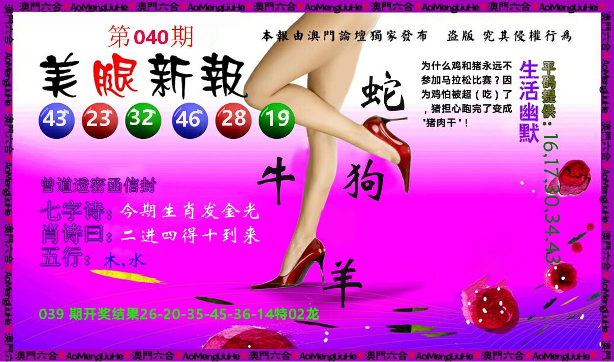 美腿新报 第40期