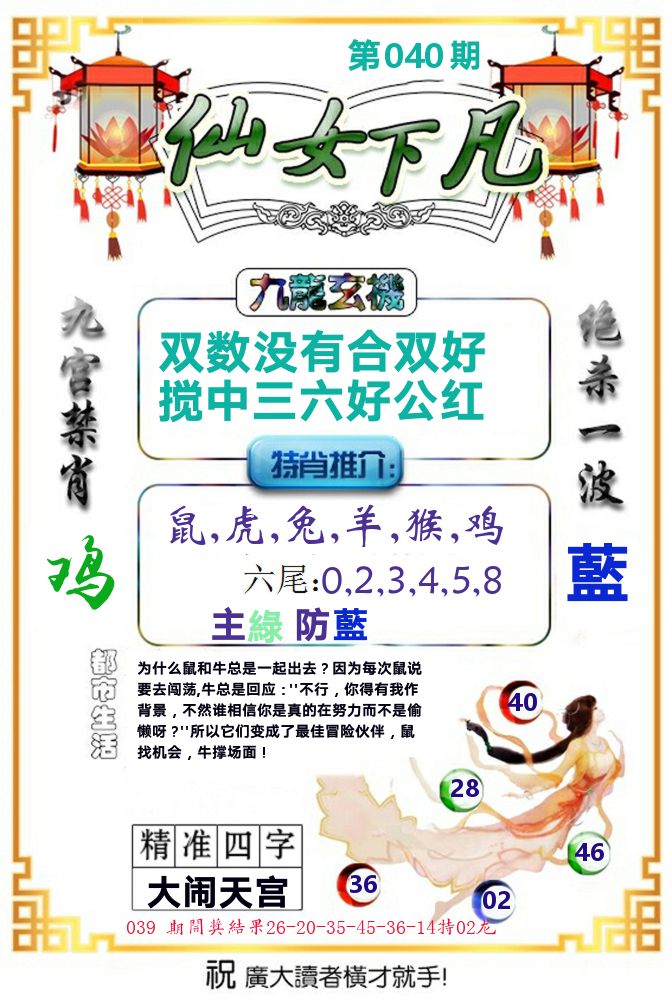 仙女下凡 第40期