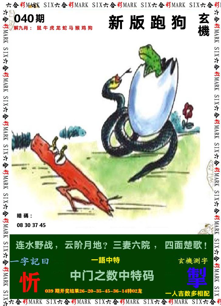 悟入其图 第40期
