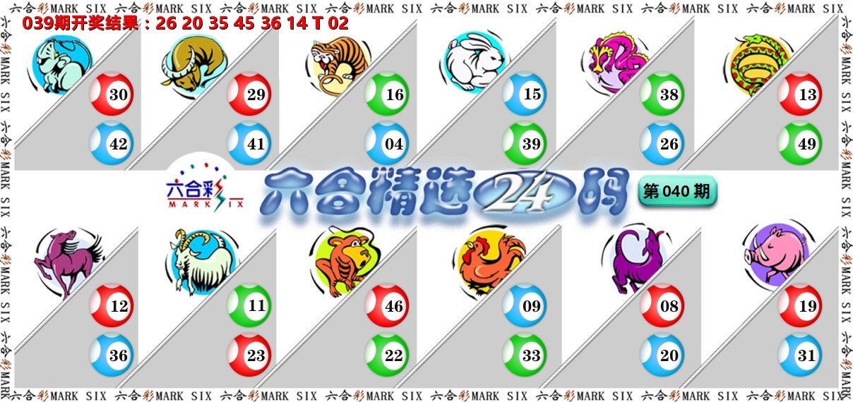 六合精选24码 第40期