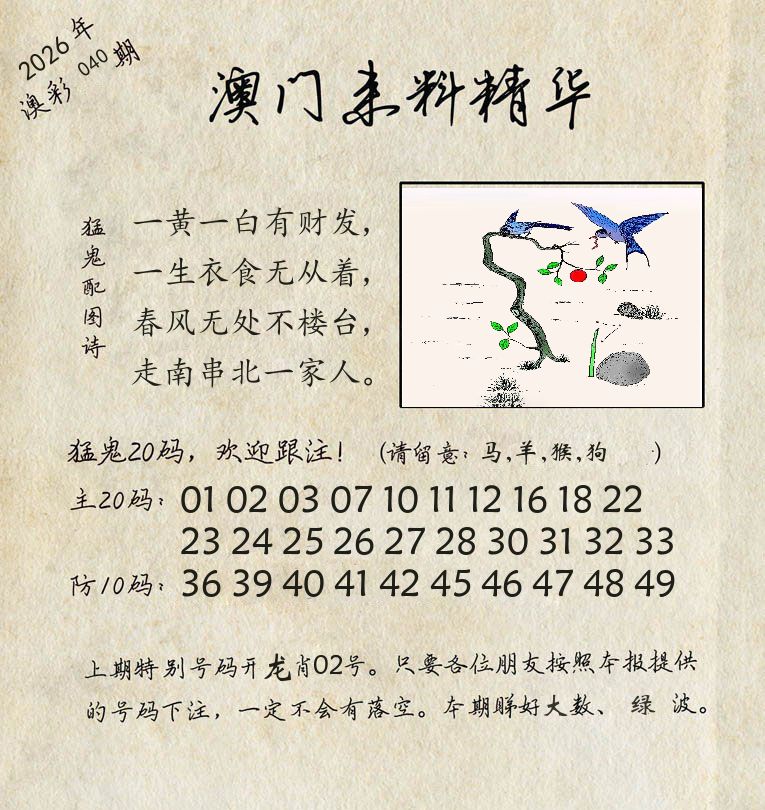 精华来料 第40期
