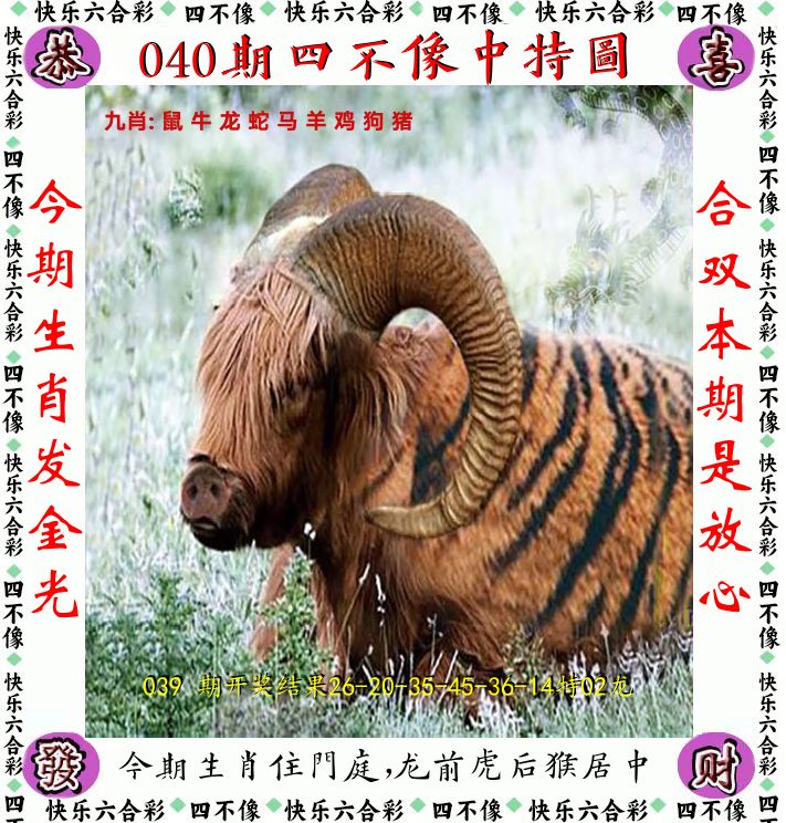 四不像 第40期