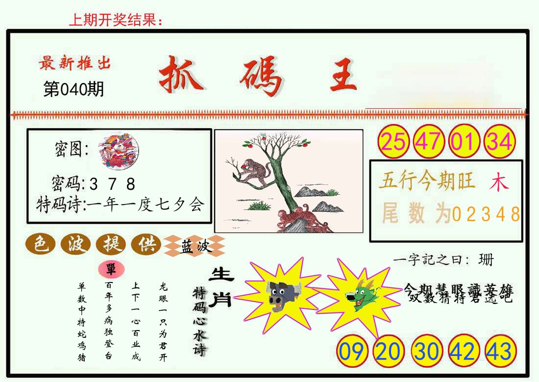 最新抓码王 第40期