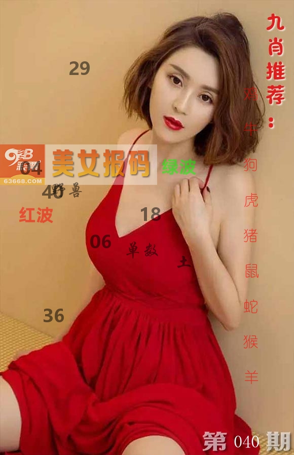 美女报码 第40期